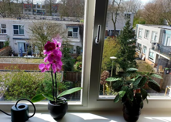 Amor Guesthouse Bed & Breakfast