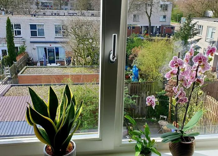 Amor Guesthouse 4* אמסטרדם