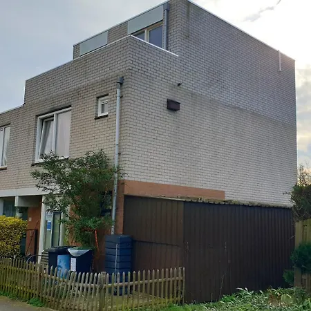 Amor Guesthouse Отель типа 