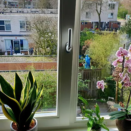 Amor Guesthouse 4* Amsterdam